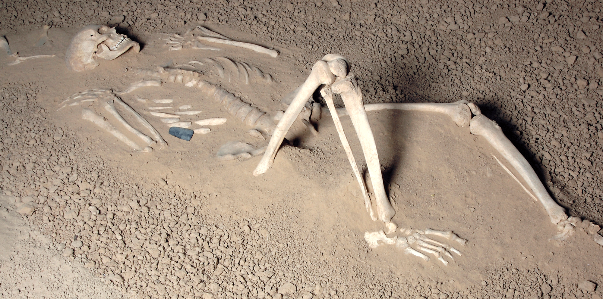 Skelett in Rückenlage mit Steinbeilklinge im Bereich des Brustkorbes.